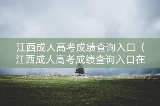 江西成人高考成绩查询入口（江西成人高考成绩查询入口在哪）
