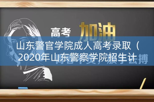 山东警官学院成人高考录取（2020年山东警察学院招生计划分数是多少）