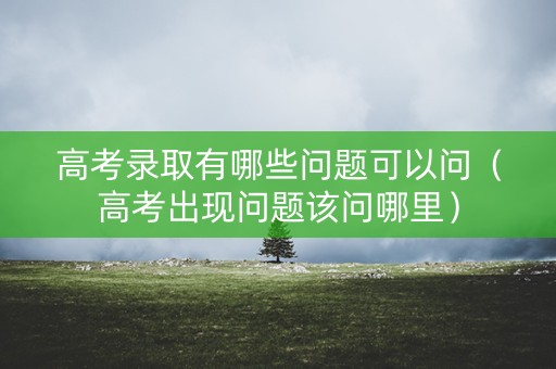 高考录取有哪些问题可以问（高考出现问题该问哪里）