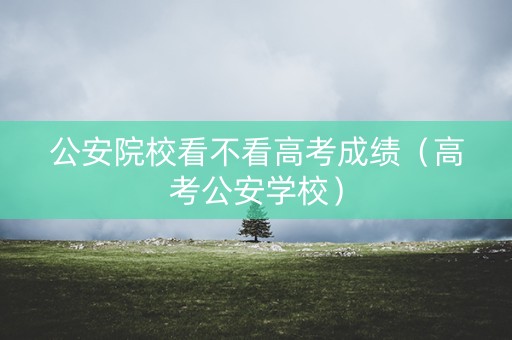 公安院校看不看高考成绩（高考公安学校）