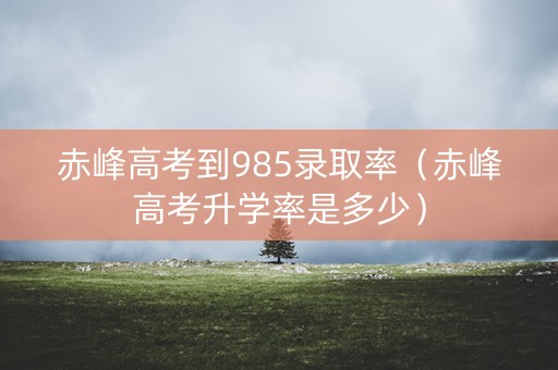 赤峰高考到985录取率（赤峰高考升学率是多少）