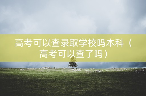 高考可以查录取学校吗本科（高考可以查了吗）