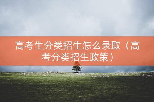 高考生分类招生怎么录取（高考分类招生政策）