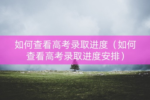 如何查看高考录取进度（如何查看高考录取进度安排）