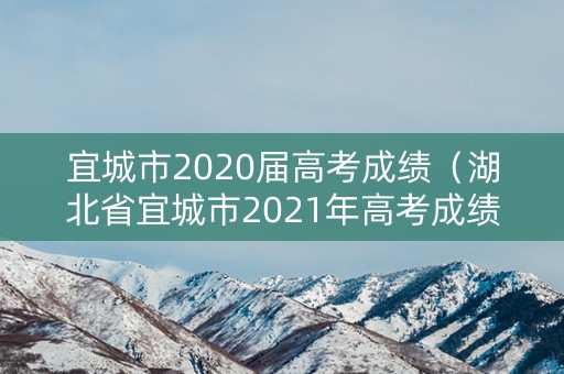 宜城市2020届高考成绩（湖北省宜城市2021年高考成绩）
