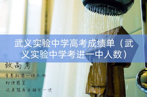 武义实验中学高考成绩单（武义实验中学考进一中人数）