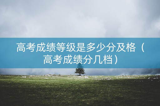 高考成绩等级是多少分及格（高考成绩分几档）