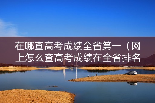 在哪查高考成绩全省第一（网上怎么查高考成绩在全省排名第几位）