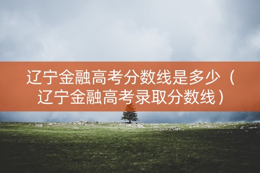 辽宁金融高考分数线是多少（辽宁金融高考录取分数线）