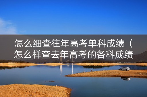 怎么细查往年高考单科成绩（怎么样查去年高考的各科成绩）