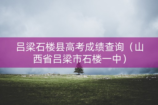 吕梁石楼县高考成绩查询（山西省吕梁市石楼一中）