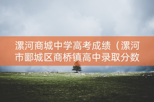 漯河商城中学高考成绩（漯河市郾城区商桥镇高中录取分数线）
