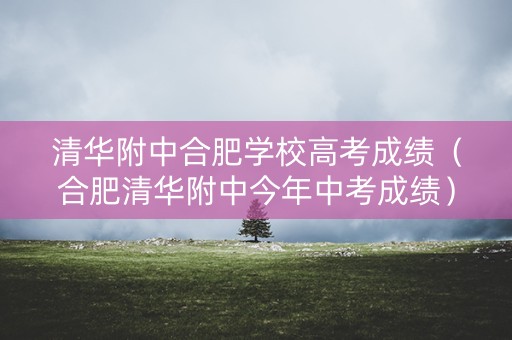 清华附中合肥学校高考成绩（合肥清华附中今年中考成绩）