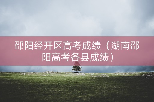 邵阳经开区高考成绩（湖南邵阳高考各县成绩）