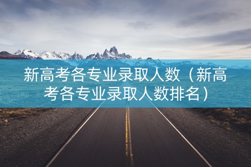 新高考各专业录取人数（新高考各专业录取人数排名）