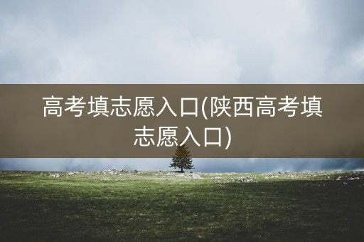 高考填志愿入口(陕西高考填志愿入口) 高考填志愿入口(陕西高考填志愿入口)
