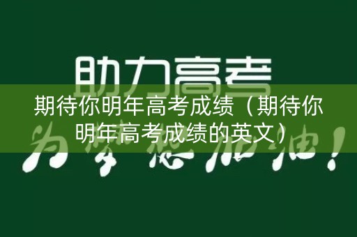 期待你明年高考成绩（期待你明年高考成绩的英文）