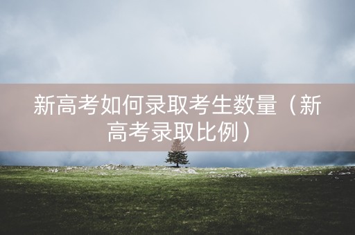 新高考如何录取考生数量（新高考录取比例）