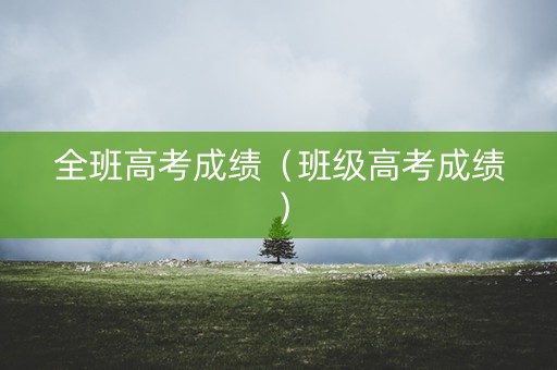 全班高考成绩（班级高考成绩）
