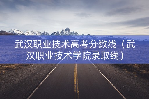 武汉职业技术高考分数线（武汉职业技术学院录取线）