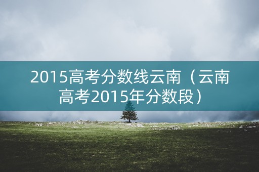 2015高考分数线云南（云南高考2015年分数段）