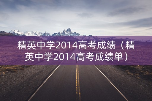 精英中学2014高考成绩（精英中学2014高考成绩单）