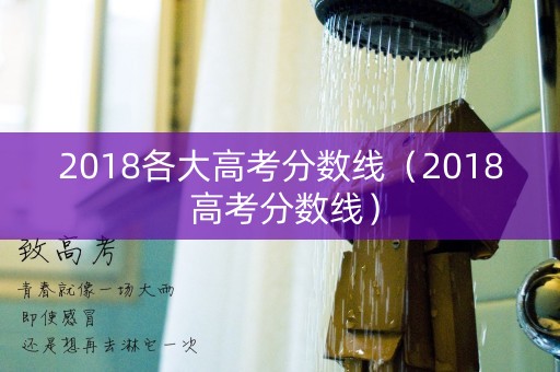 2018各大高考分数线（2018 高考分数线）