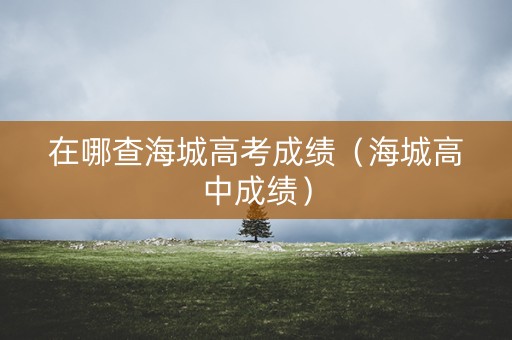 在哪查海城高考成绩（海城高中成绩）
