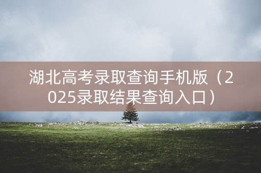 湖北高考录取查询手机版（2025录取结果查询入口）