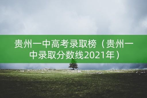 贵州一中高考录取榜（贵州一中录取分数线2021年）