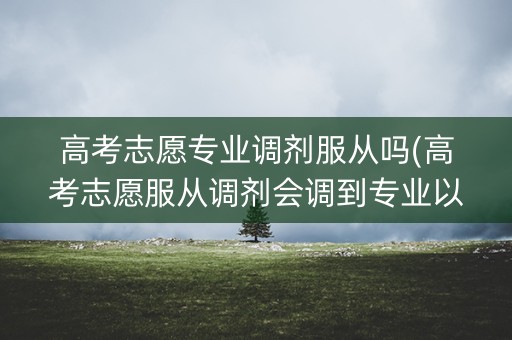 高考志愿专业调剂服从吗(高考志愿服从调剂会调到专业以外的专业吗) 高考志愿专业调剂服从吗(高考志愿服从调剂会调到专业以外的专业吗)