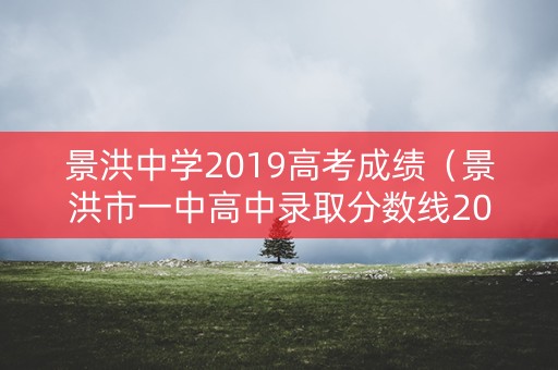 景洪中学2019高考成绩（景洪市一中高中录取分数线2021）