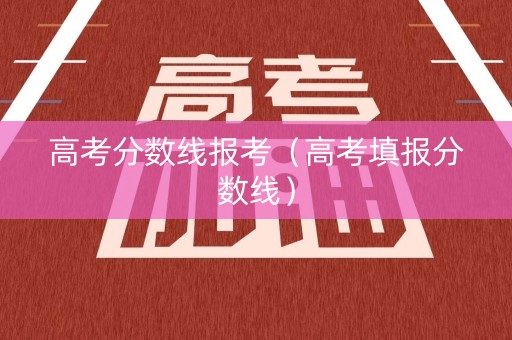 高考分数线报考（高考填报分数线）