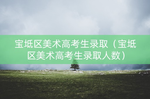 宝坻区美术高考生录取（宝坻区美术高考生录取人数）