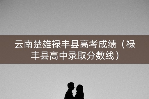 云南楚雄禄丰县高考成绩（禄丰县高中录取分数线）