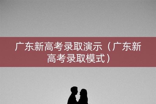 广东新高考录取演示（广东新高考录取模式）
