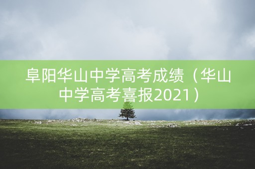 阜阳华山中学高考成绩（华山中学高考喜报2021）