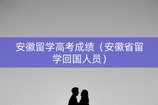 安徽留学高考成绩（安徽省留学回国人员）