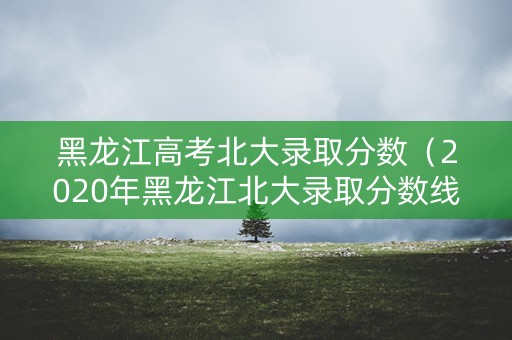 黑龙江高考北大录取分数（2020年黑龙江北大录取分数线多少）