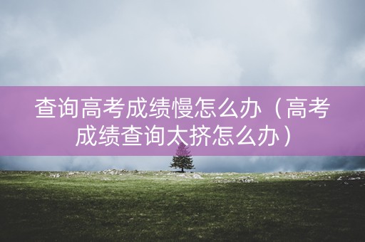 查询高考成绩慢怎么办（高考成绩查询太挤怎么办）