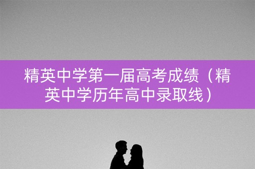 精英中学第一届高考成绩（精英中学历年高中录取线）