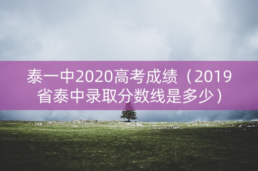 泰一中2020高考成绩（2019省泰中录取分数线是多少）