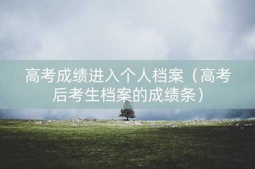 高考成绩进入个人档案（高考后考生档案的成绩条）