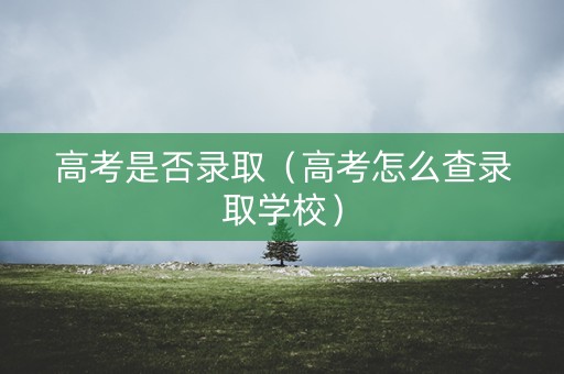 高考是否录取（高考怎么查录取学校）