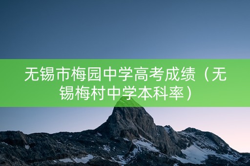 无锡市梅园中学高考成绩（无锡梅村中学本科率）