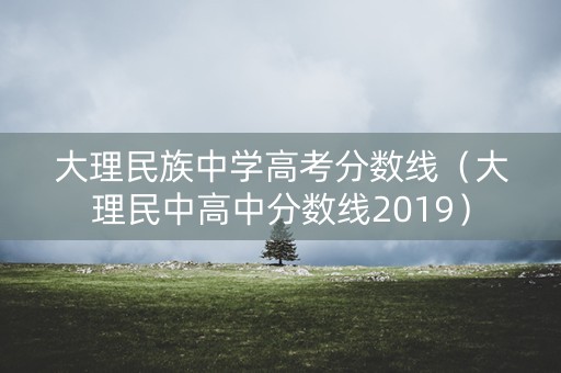 大理民族中学高考分数线（大理民中高中分数线2019）
