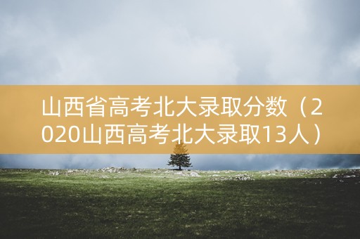 山西省高考北大录取分数（2020山西高考北大录取13人）