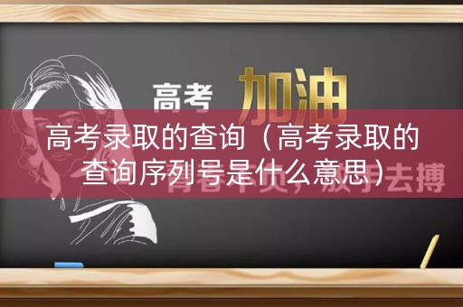 高考录取的查询（高考录取的查询序列号是什么意思）