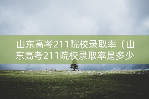 山东高考211院校录取率（山东高考211院校录取率是多少）