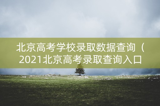 北京高考学校录取数据查询（2021北京高考录取查询入口官网）